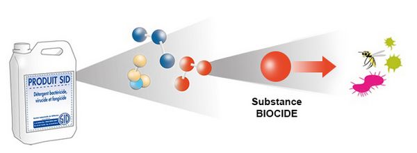 Classification et réglementation des produits biocides : tout savoir