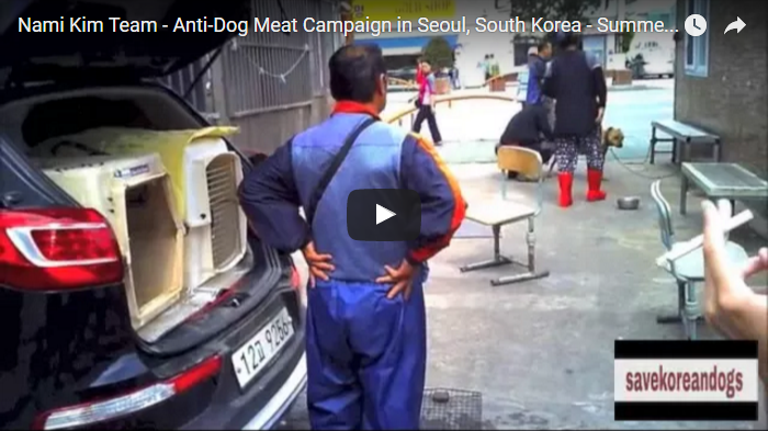 Nami Kim Team - Anti-Dog Meat Campaign in Seoul, South Korea - Summer 2015