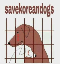 http://savekoreandogs.org/donate/?utm_source=sendinblue&utm_campaign=Time_is_Ticking!_Are_you_with_us&utm_medium=email