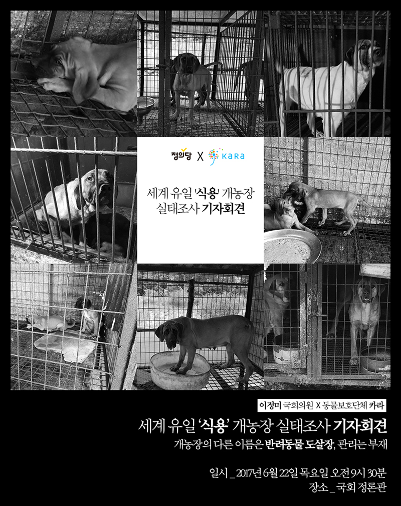 [공동기자회견]세계 유일 '식용 개농장' 실태조사 기자회견