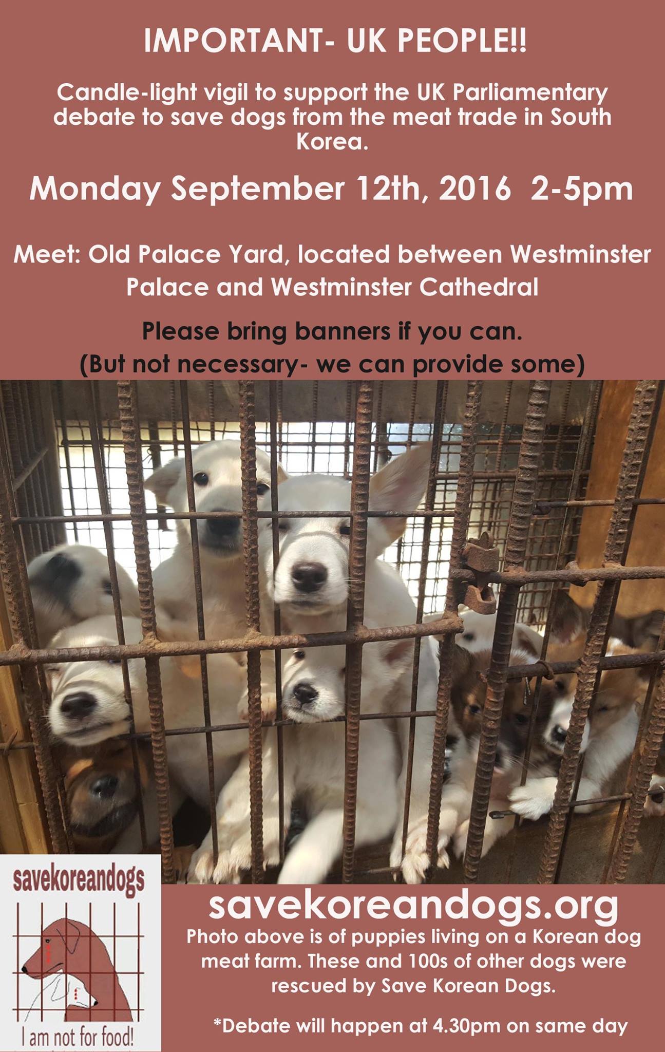 UK – Contact your MP, Ask to Speak Out Against the Korean Dog Meat Cruelty!