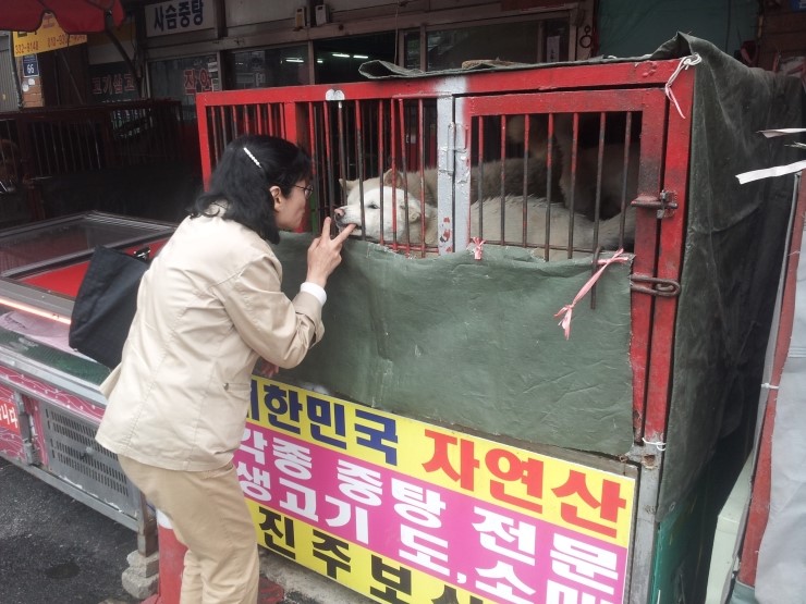 KARA’s Legal Information Booklet for the ending of dog meat consumption