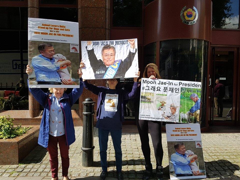 UK Animal Activists Protest at South Korean Embassy