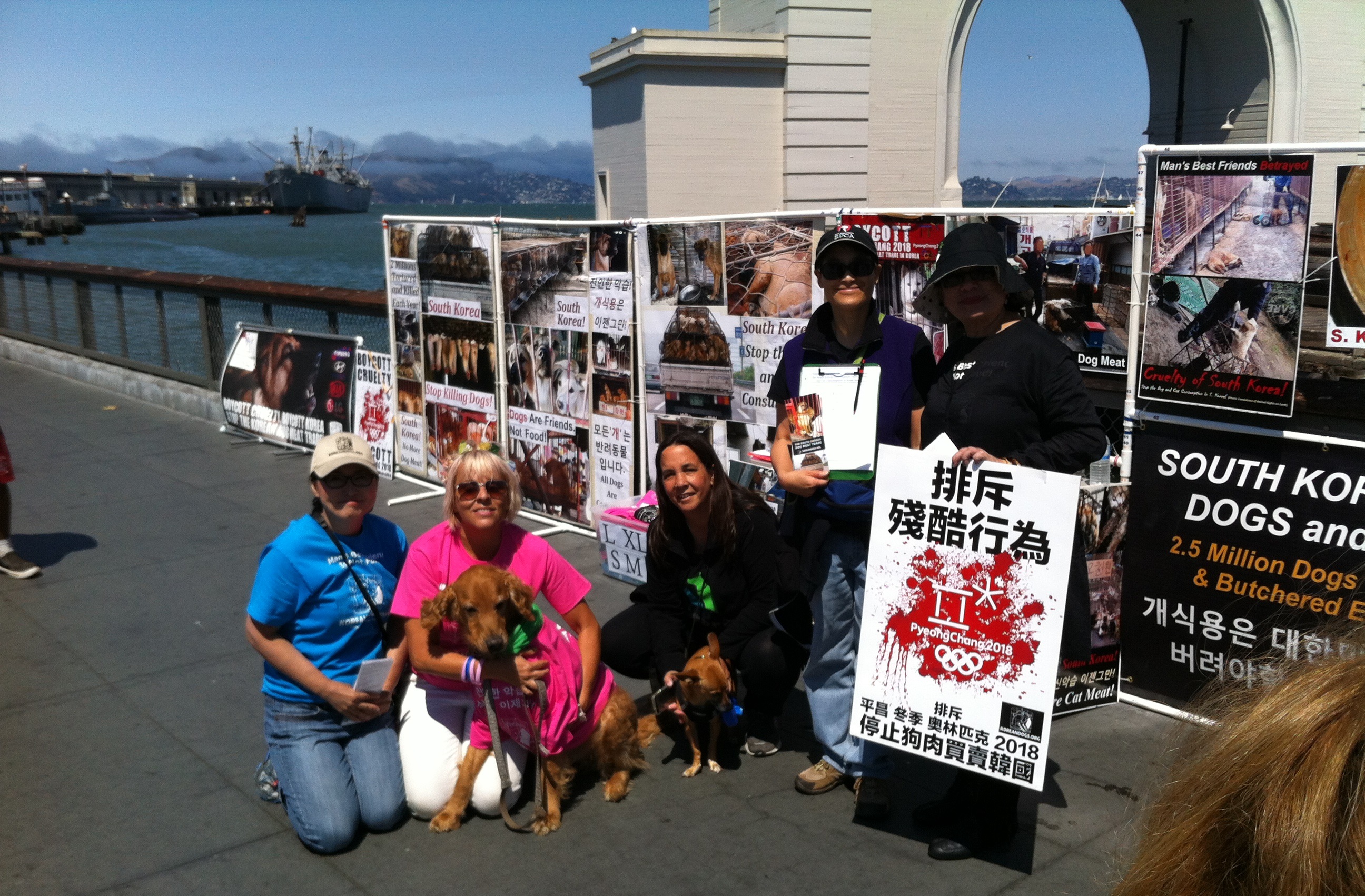 September 24, 2016 Saturday - Fisherman's Wharf, San Francisco, California. Leafleting and Informational Event on the South Korean Dog Meat Trade