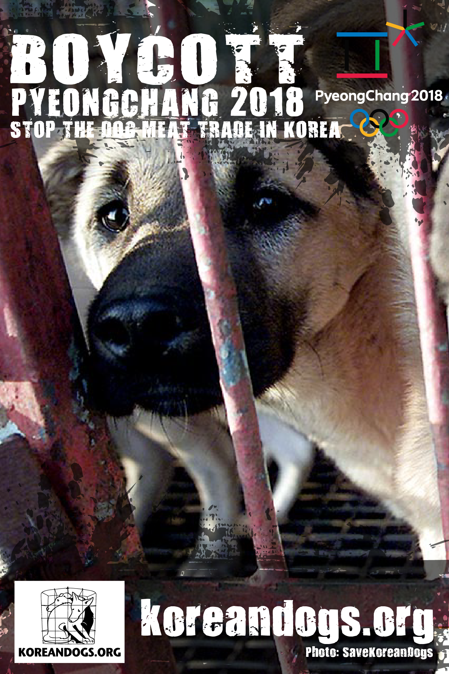 National Olympic Committees: Take a stand in Pyeongchang 2018 against the dog and cat meat trade!