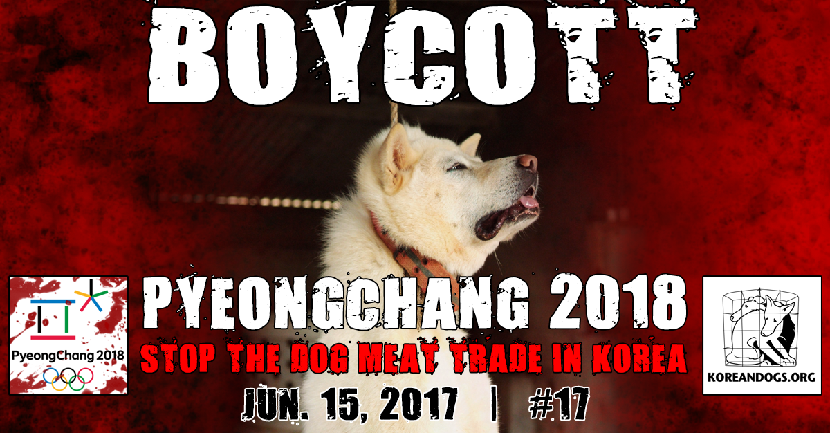 #Boycott #PyeongChang #Olympic