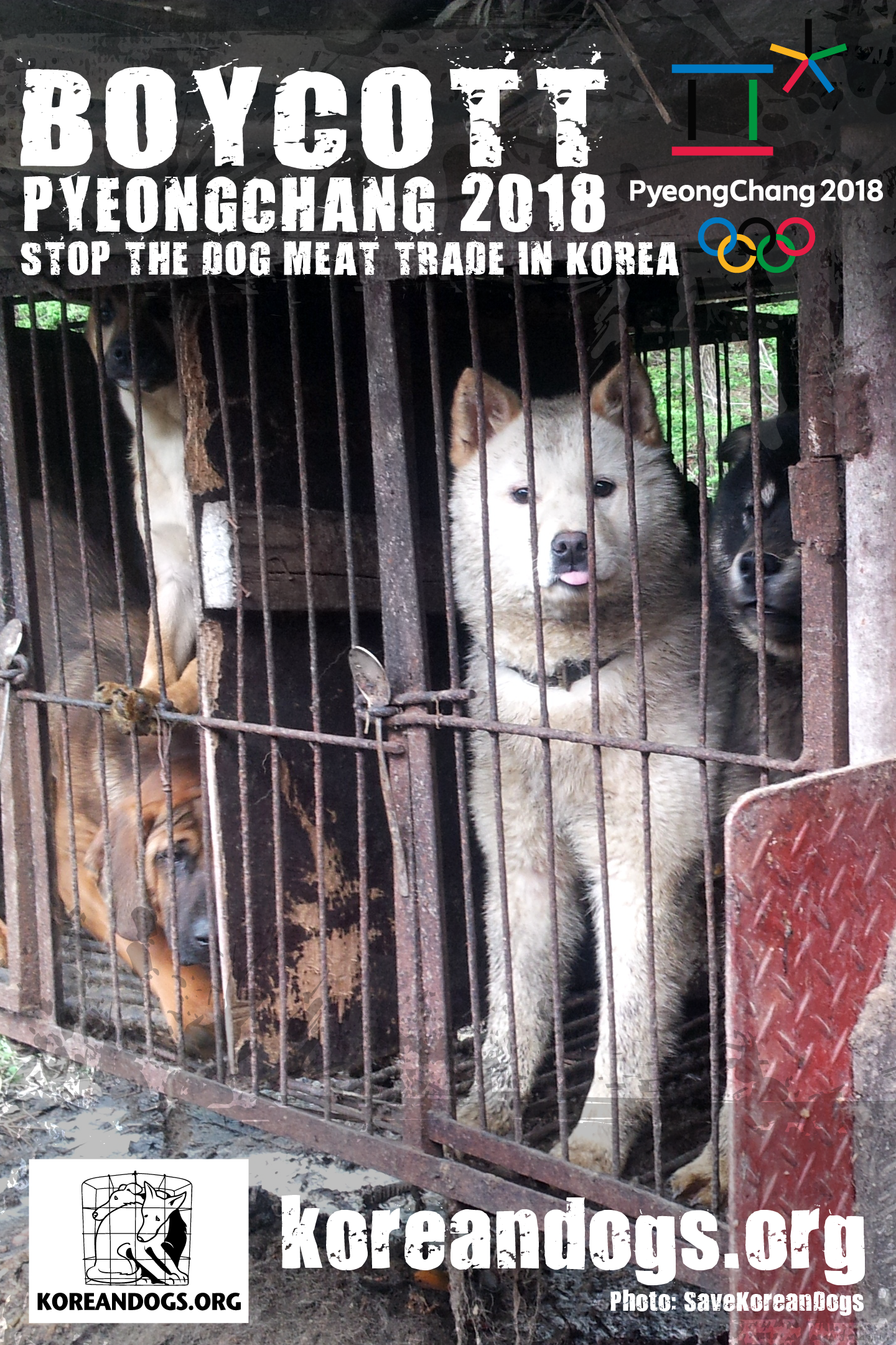  To the Sponsors of PyeongChang 2018 Winter Olympics in South Korea: please help bring an end to the dog and cat meat trades in South Korea