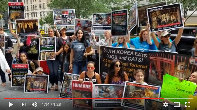 www. theirturn.net. Dozens of Activists Protest Dog Meat Eating Festival At Korean Consulate