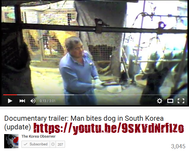 AN EXPOSÉ ON THE DOG MEAT INDUSTRY IN SOUTH KOREA