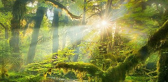 Lien vers bien-être et bio