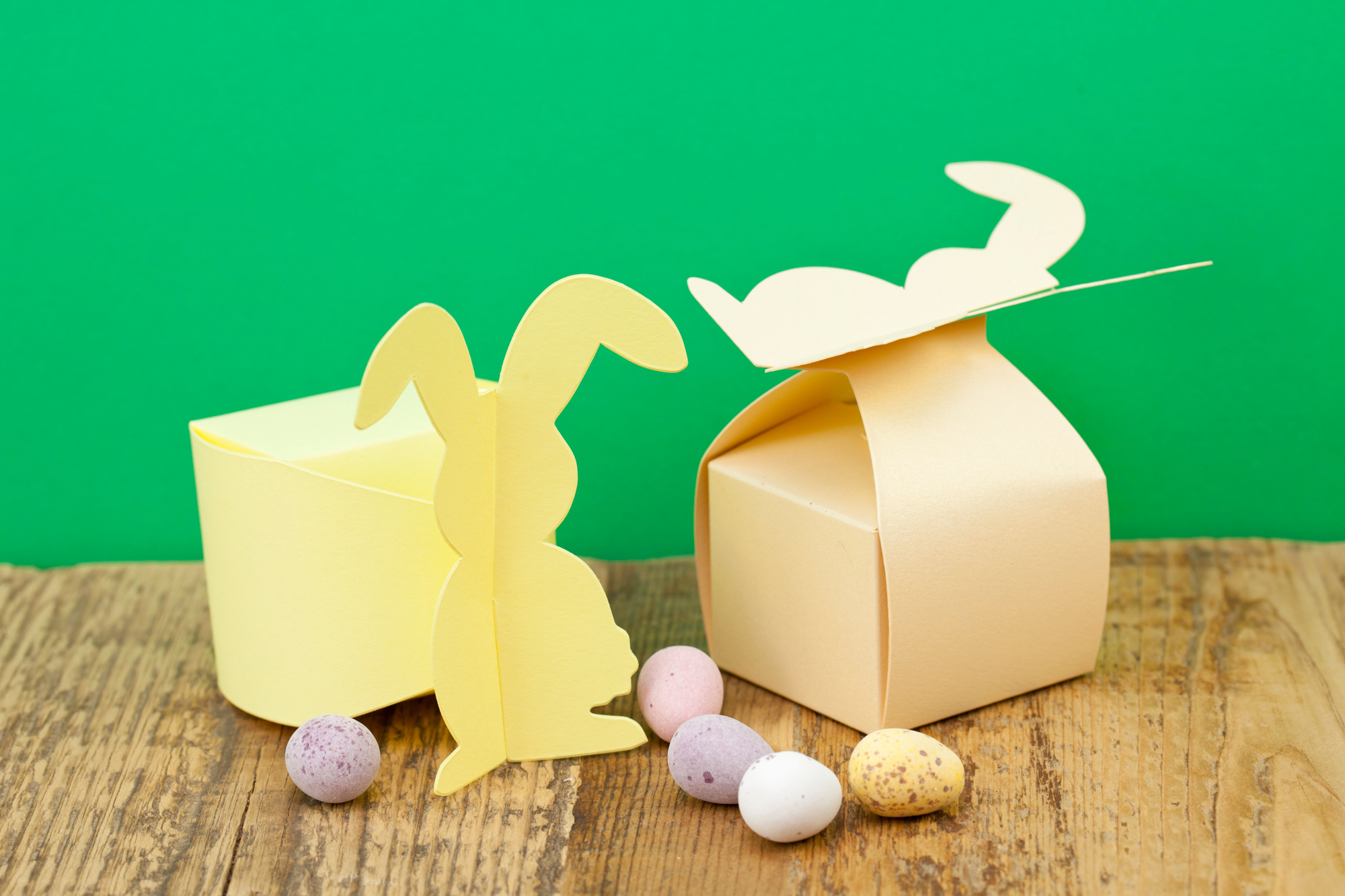 Rabbit topped Box