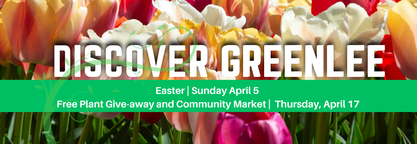 Discover Greenlee Newsletter