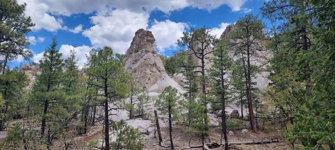 Greenlee County trail photo