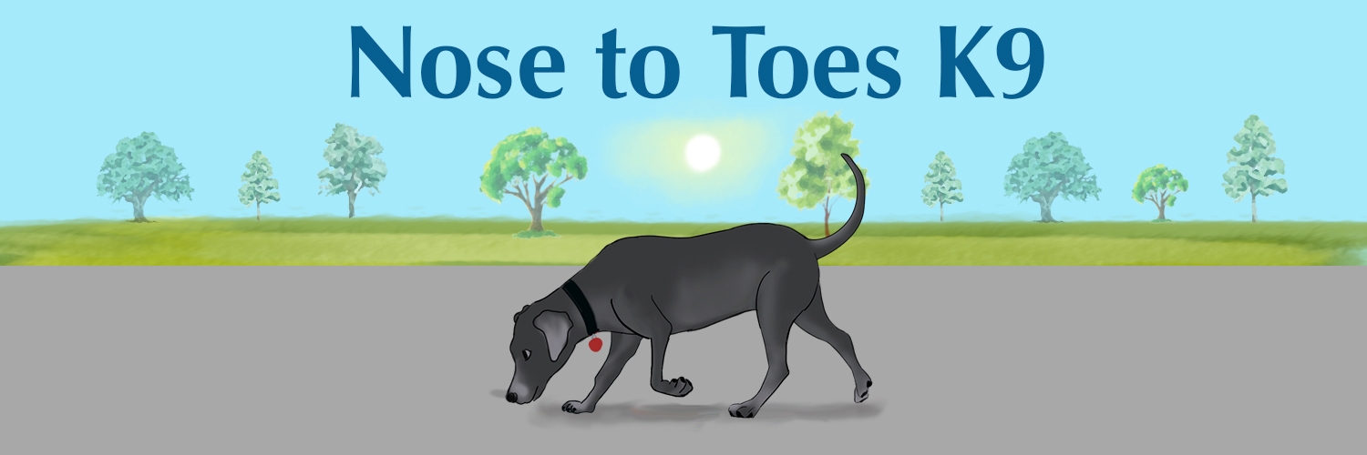 Logo for Nose to Toes K9