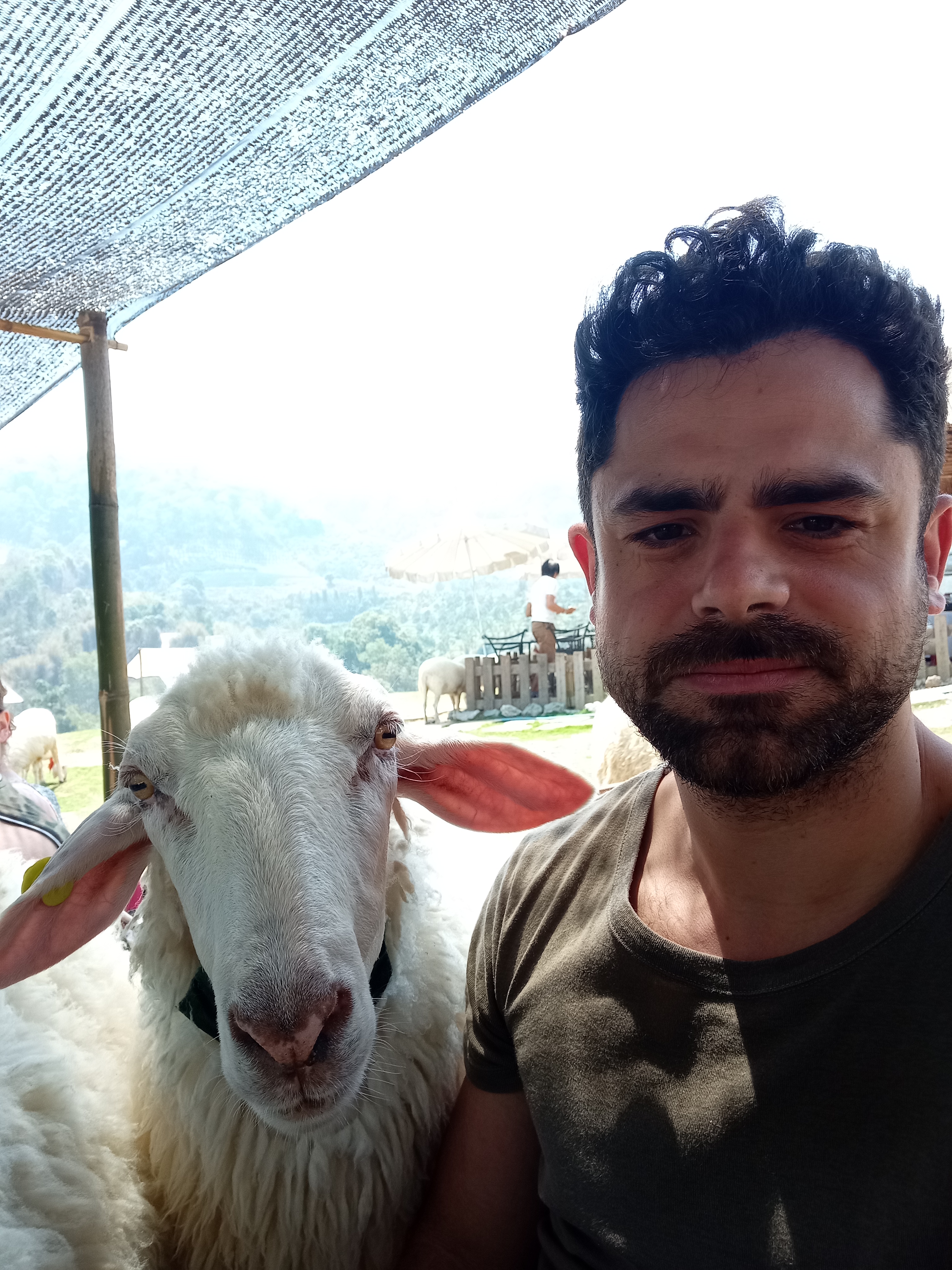 Alex en Thaïlande avec un mouton