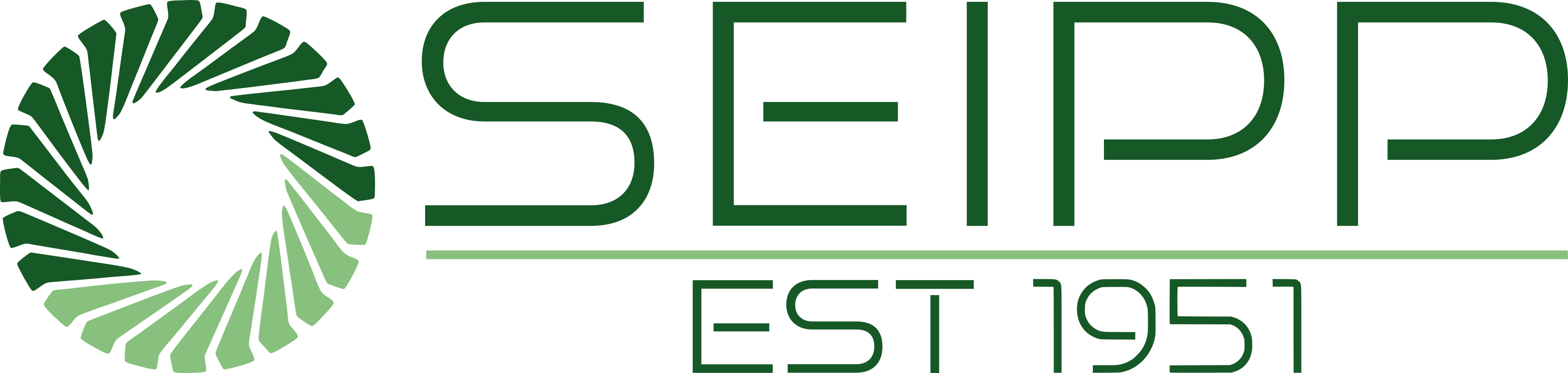 SEIPP-Logo