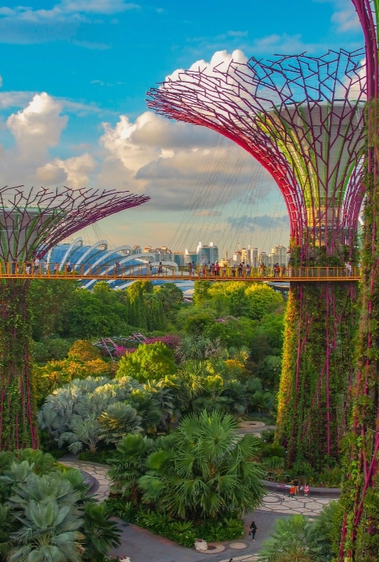 Singapore sfeer
