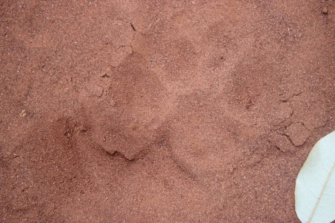 Mission de terrain FÉCo en Afrique centrale