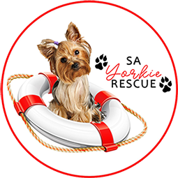 SA Yorkie Rescue Logo