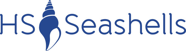 HS Seashells logo