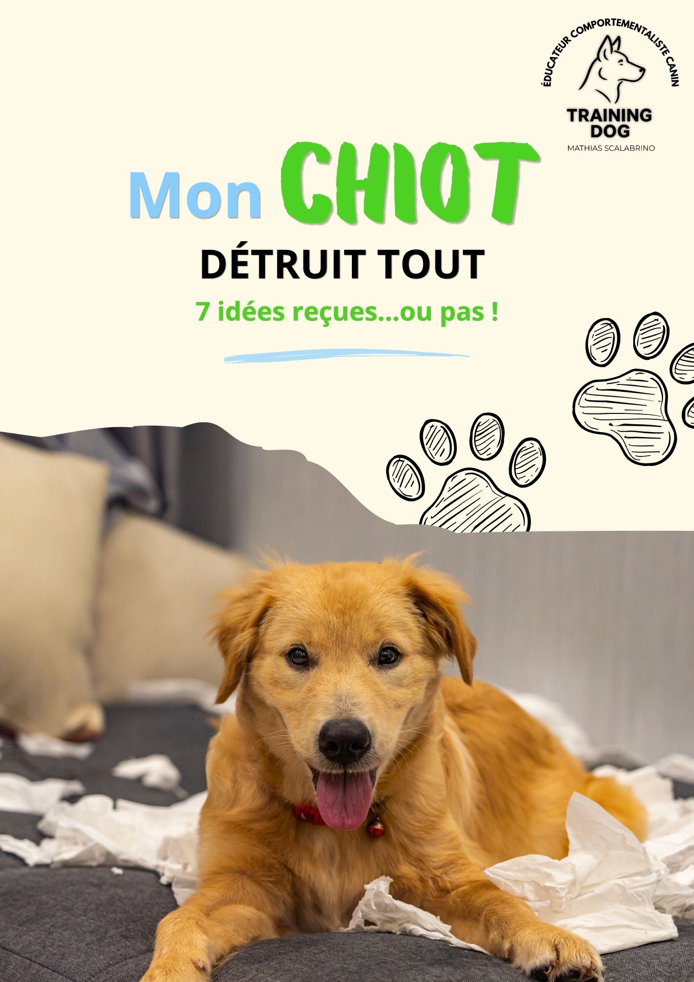 education chien qui aboie