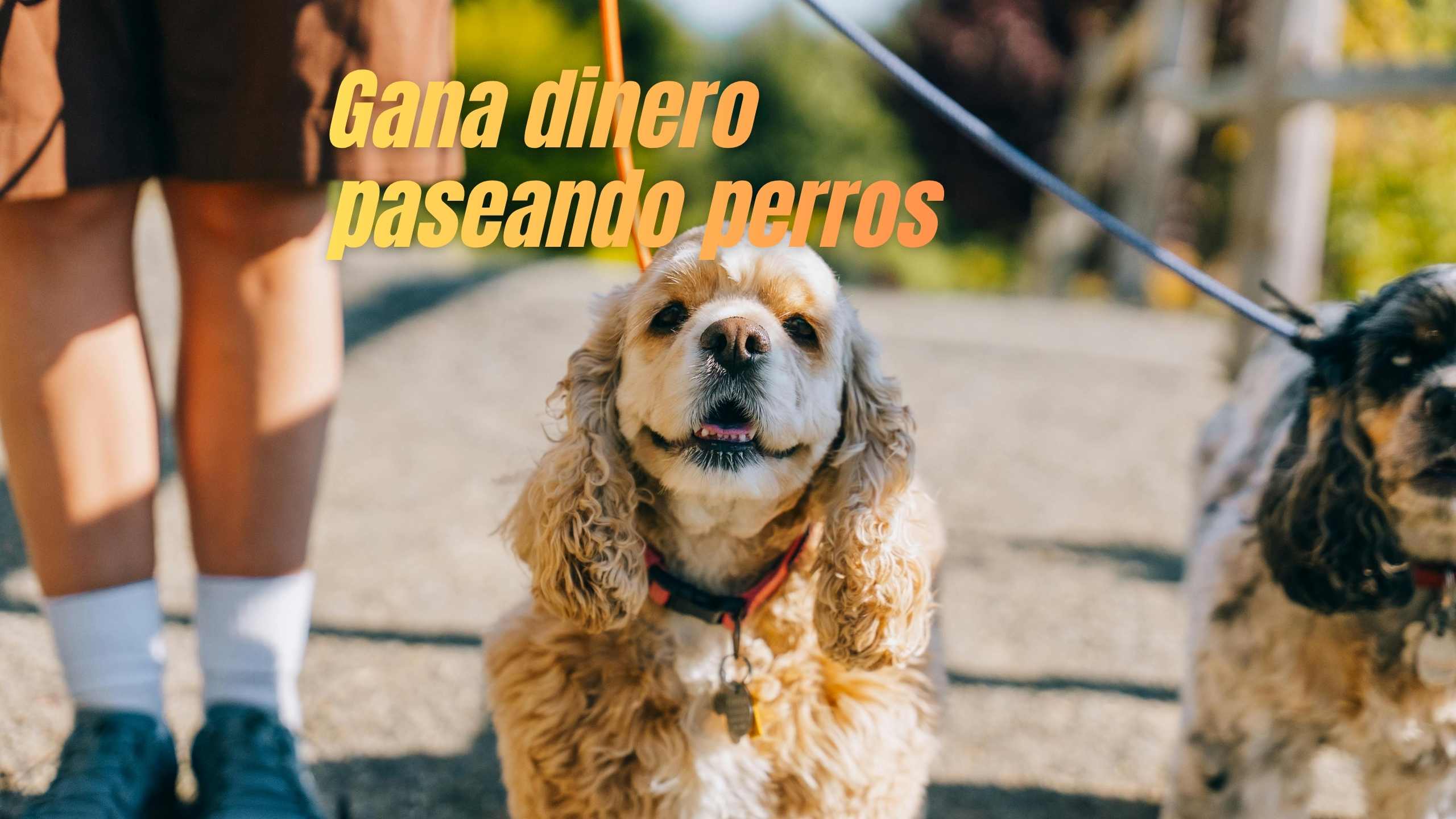 6a25f4f742bb99fcee757053 ARfosis