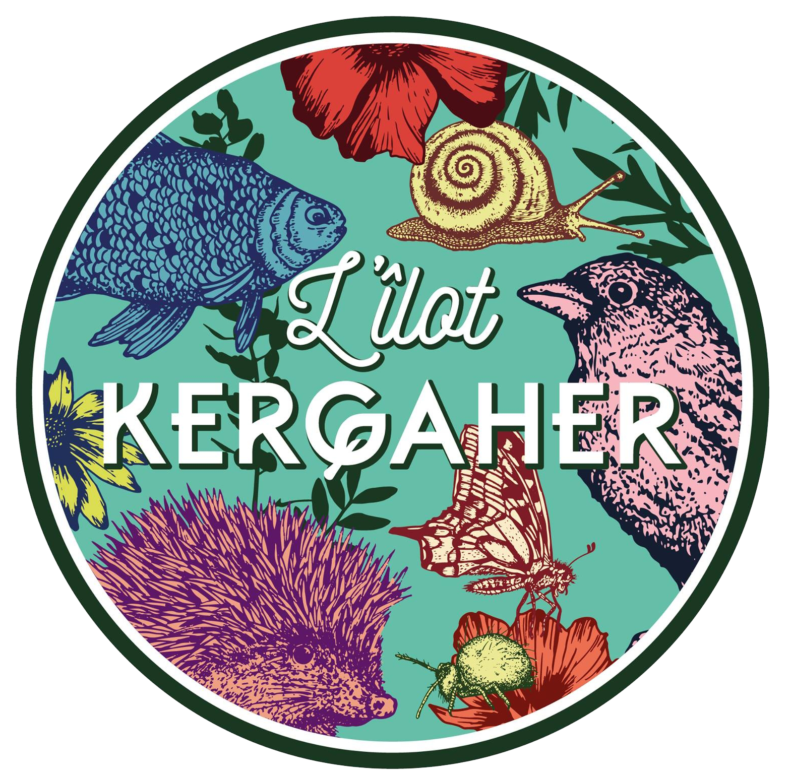 L'ilot de Kergaher