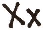 Xx