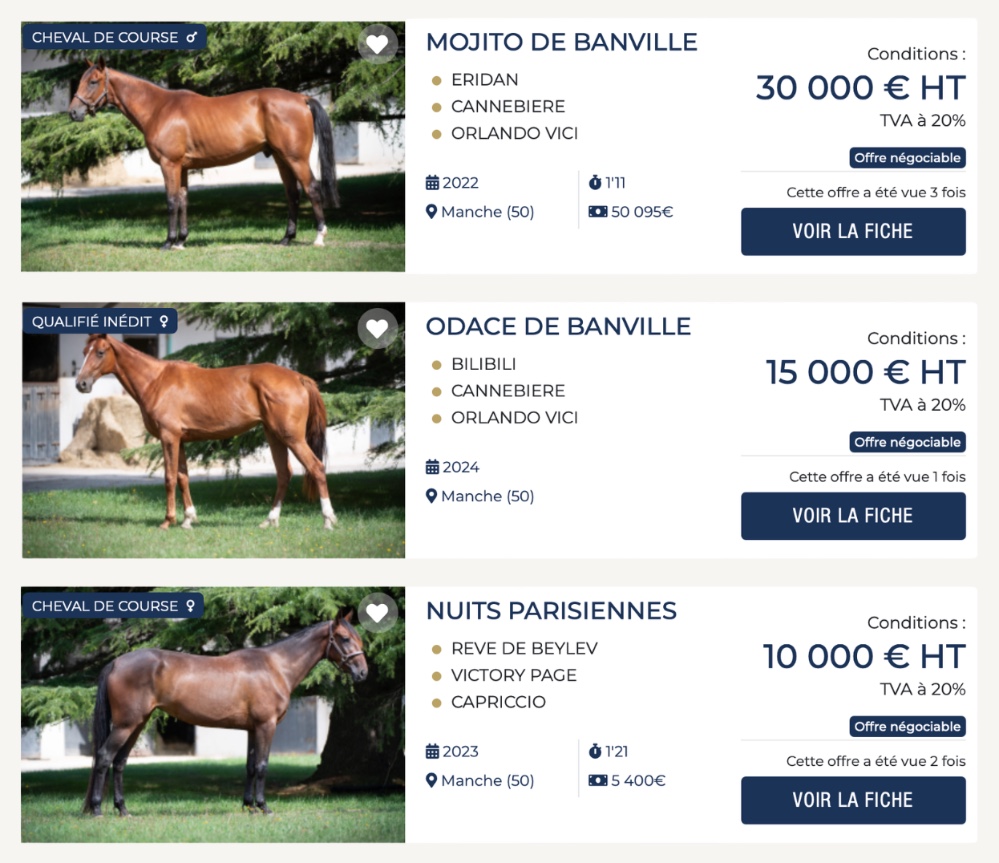 Catalogue des chevaux en pleine propriété sur I Want The Winner