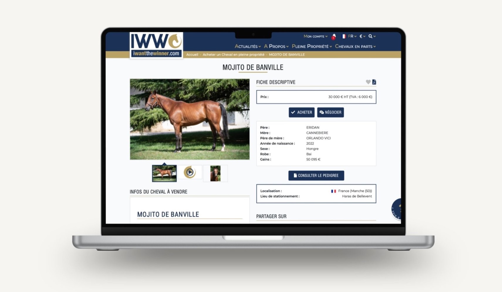 Exemple de fiche cheval sur I Want The Winner
