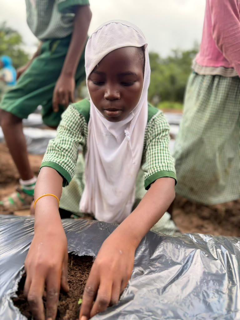 Issue 01 cover — a young pupil planting a seedling