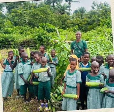 School pupils holding cucumbers at harvest
