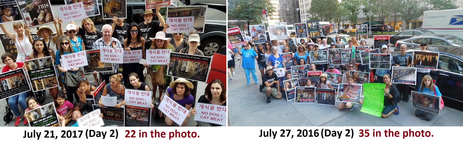 International Day of Action for South Korean Dogs & Cats (Day 3)