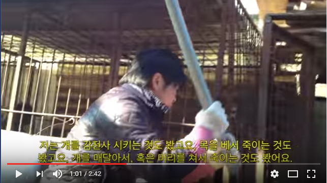  The Dog Meat Professionals: South Korea