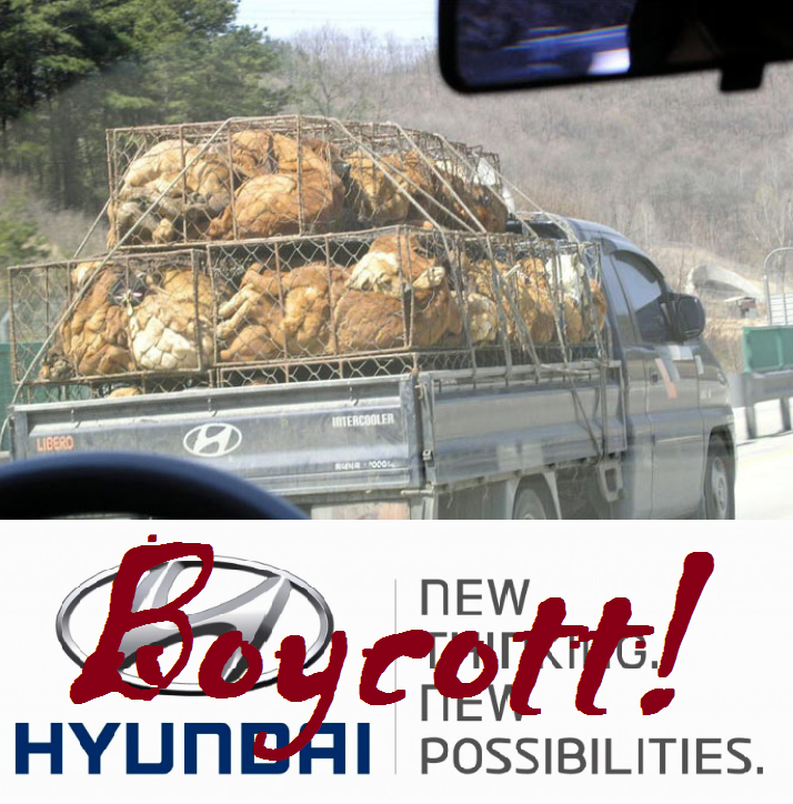  “Jaebol”, Korean companies, have the power to speak out for change: call Hyundai/Kia Auto dealers near you and ask them to do just that.