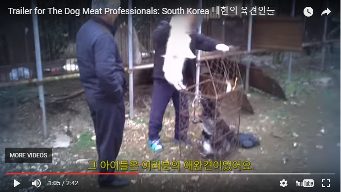 The Dog Meat Professionals: South Korea