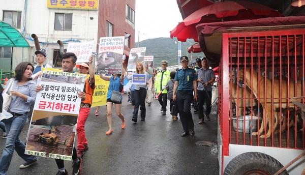 Busan Buk-gu (Northern District) Office puts into operation its first Task Force Team for Gupo Livestock (Dog Meat) Market.