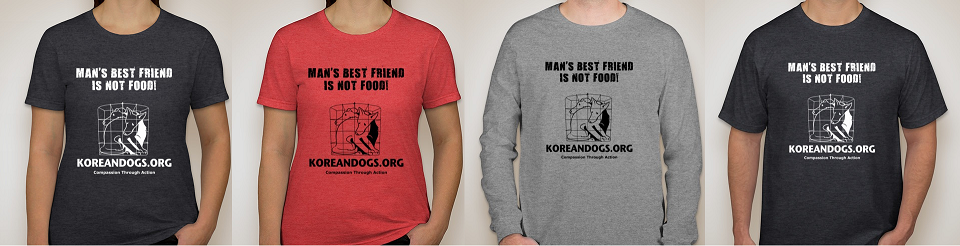 KoreanDogs.org - Help Support Busan KAPCA (Korea Alliance for the Prevention of Cruelty to Animals)