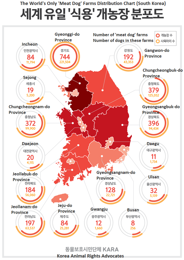 KARA discloses results of their investigation of ‘meat dog farms’ at press conference.