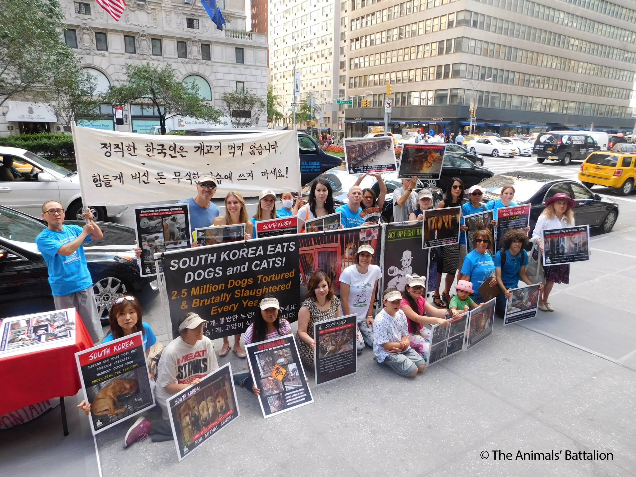  The Animals’ Battalion 2016 ‘Boknal’ Demonstration in New York