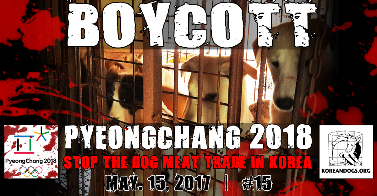 #Boycott #PyeongChang #Olympic