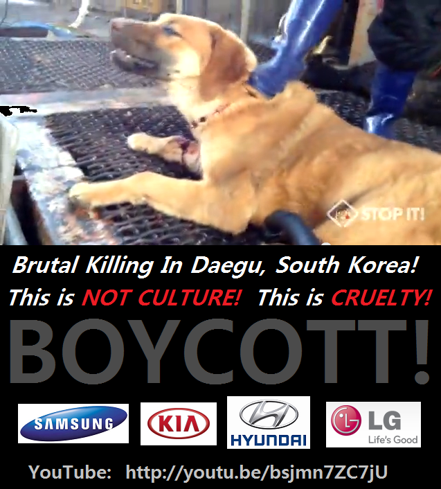 South Korean Dog Meat Industry 대구 무참히 도살 Brutal killing in Daegu