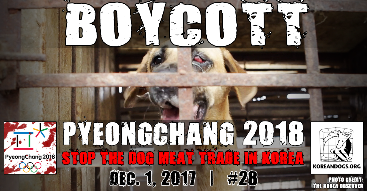  Thunderclap – “Boycott PyeongChang 2018 Campaign”!