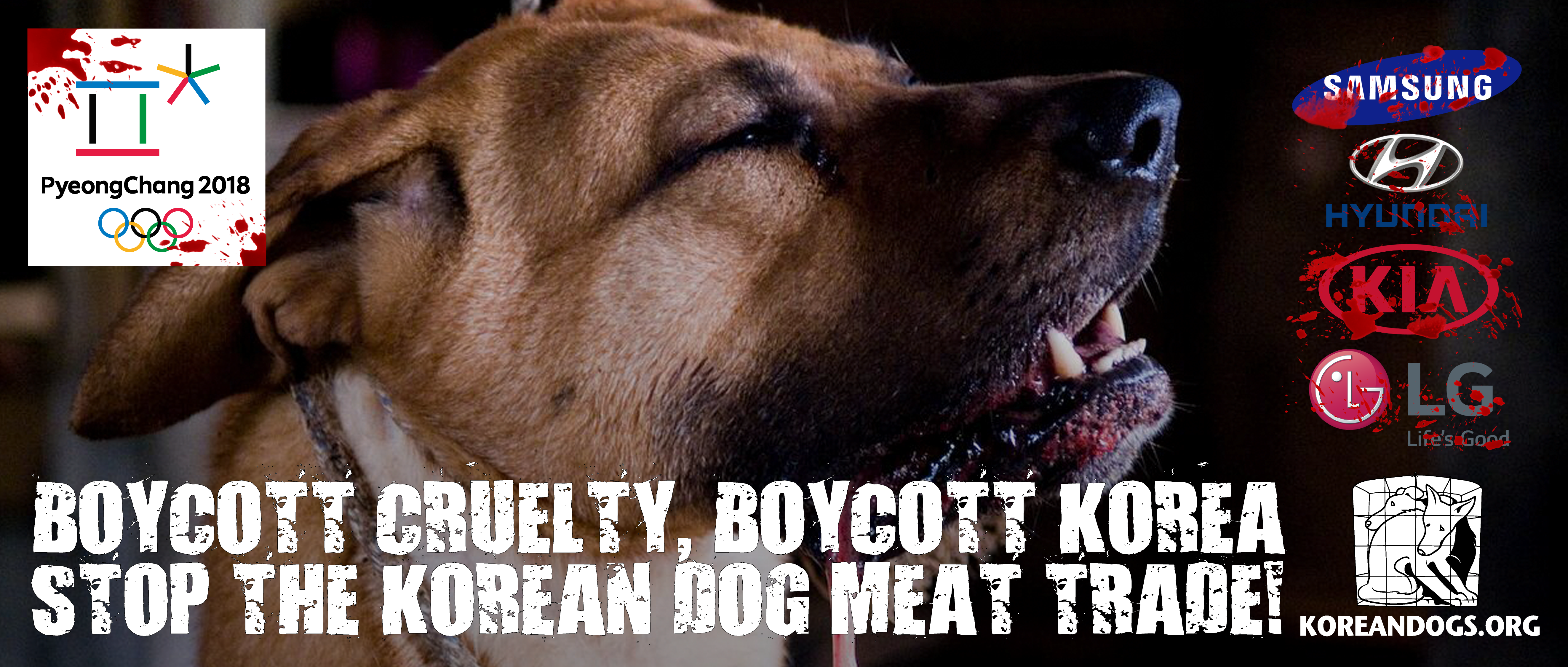 BOYCOTT CRUELTY, BOYCOTT KOREA Banners