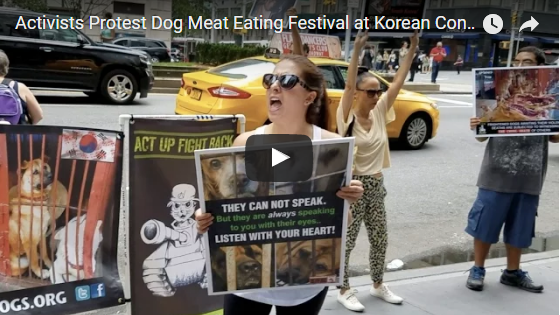 Activists Protest Dog Meat Eating Festival at Korean Consulate