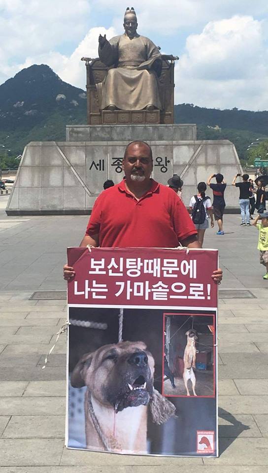 https://koreandogs.org/response-seoul-gangdong-gu-mayor/?utm_source=sendinblue&utm_campaign=Calls_to_Action__Busan_KAPCA_shuts_down_dog_farm_and_rescue_puppies&utm_medium=email