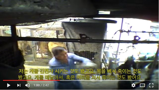 Gimpo - South Korean Dog Meat Industry 김포 개농장, 개도살장