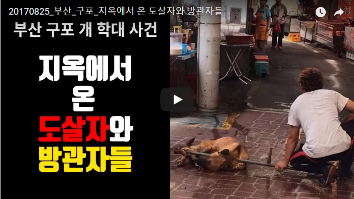 Busan Gupo Dog Meat Market’s Cruelty