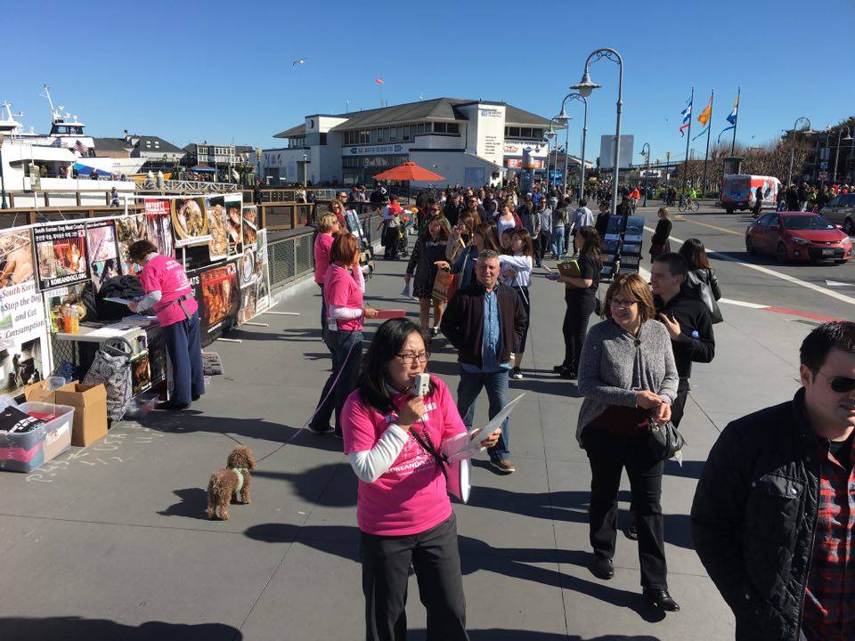 San Francisco, Fisherman’s Wharf Leafleting Event – February 11, 2017