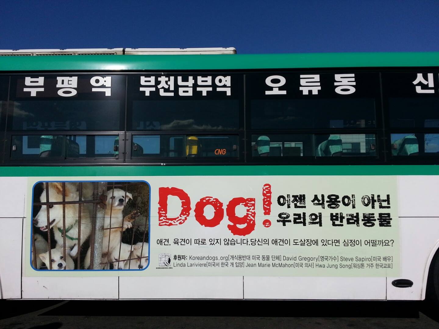 Seoul Gyeongdong Dog Meat Market